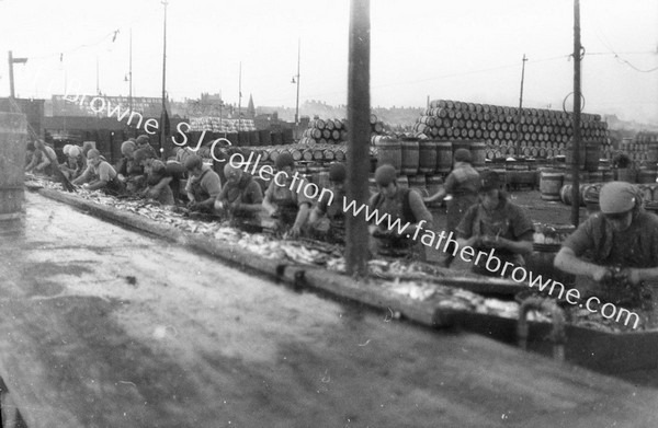 HERRING FISHERY GIRLS CLEANING FISH